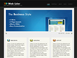 Web Lider Business WordPress Theme