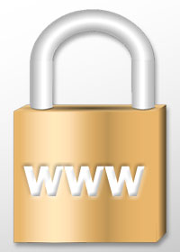 securing business website via backup