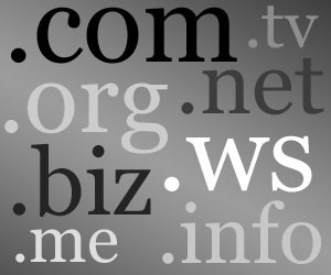 domain name flipping