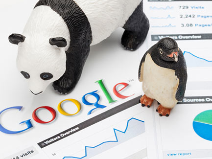 google panda and penguin updates