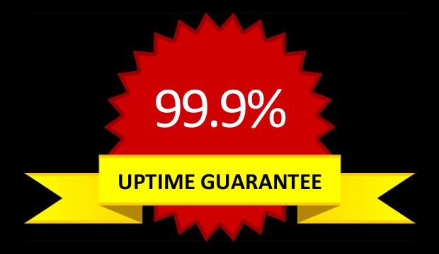 web hosting uptime guarantee