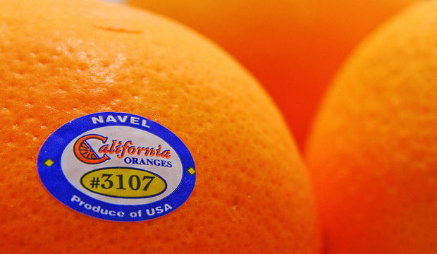 trade oranges across borders
