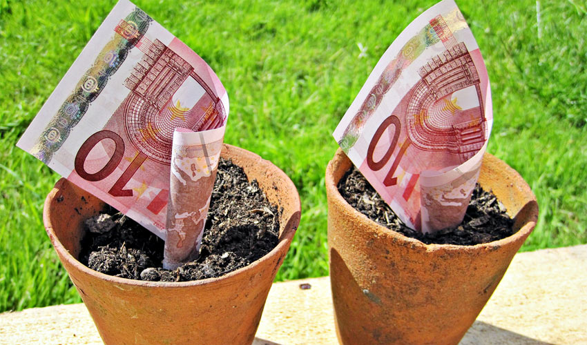money pot