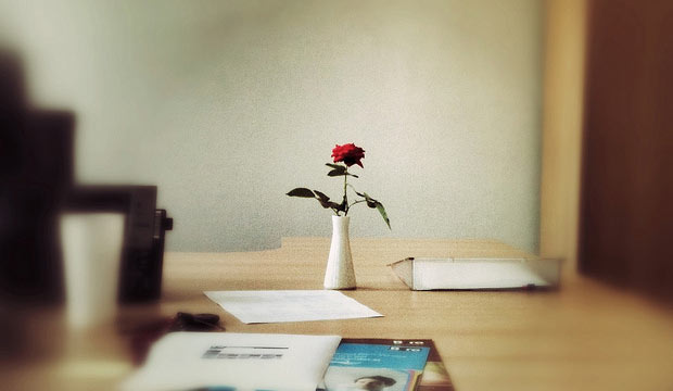 office flower