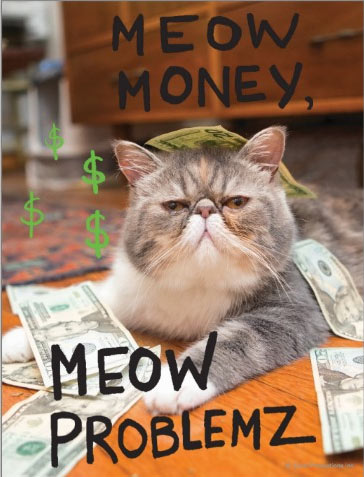 Meow money, meow problemz postcard