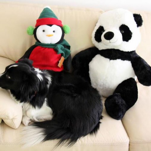 10 ways to work with google s pandas and penguins - panda penguin seo instagram followers
