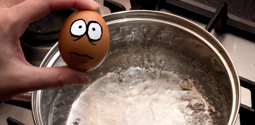 Scared egg