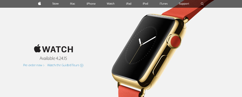 Apple Watch branding