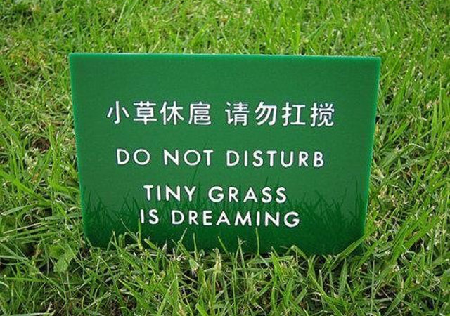 Funny translation: Do not disturb - tiny grass is dreaming