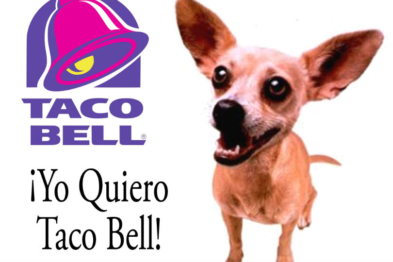 Taco Bell Chihuaha