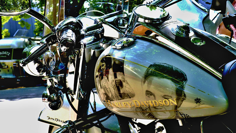 Harley Davidson - Elvis