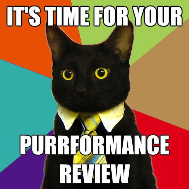Purrformance review - business cat meme