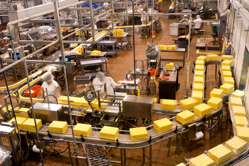 Cheese packaging factory