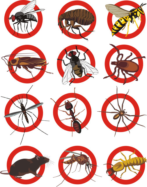 Types of pest