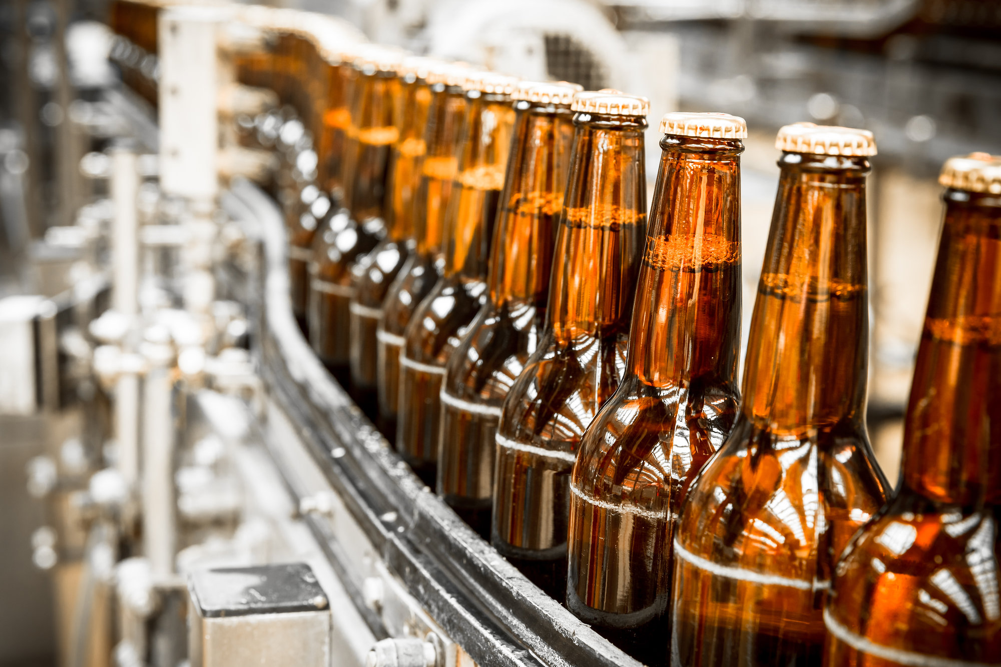 Bottles in conveyor belt