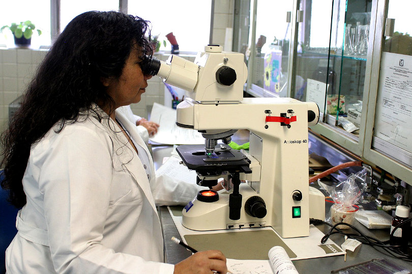 Scientist working at a laboratory
