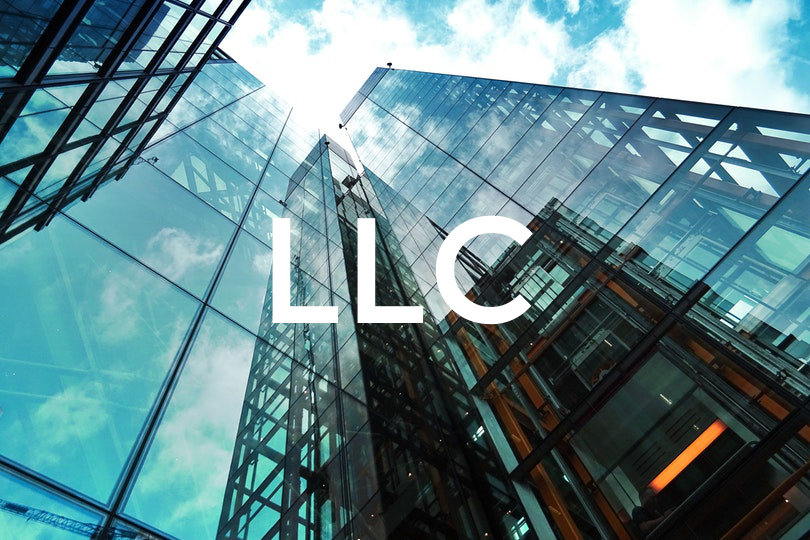 LLC company structure