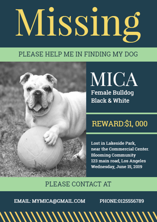 Missing dog poster design example