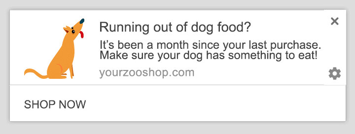 Dog food push notification example