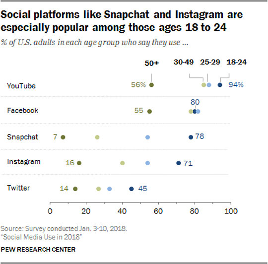 Social media users demographics