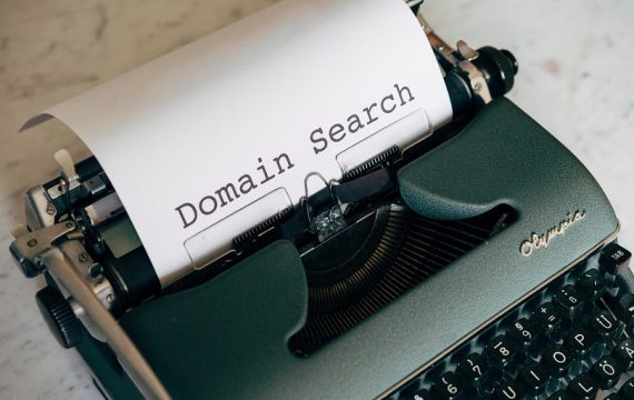 Domain name search